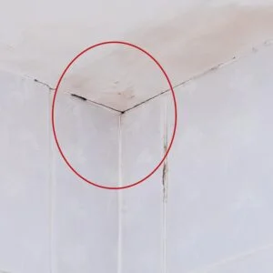 台南 - 蔡小姐 - 屋頂漏水抓漏維修​